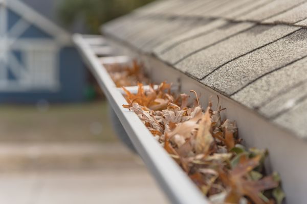 Leaf Barrier Installation in Lake Stevens
