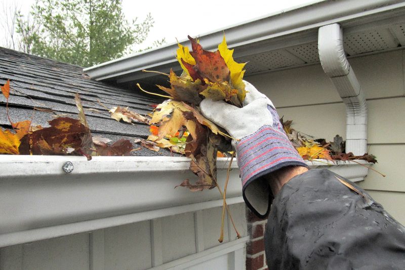Off-Season Gutter Service